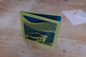 Turtle
